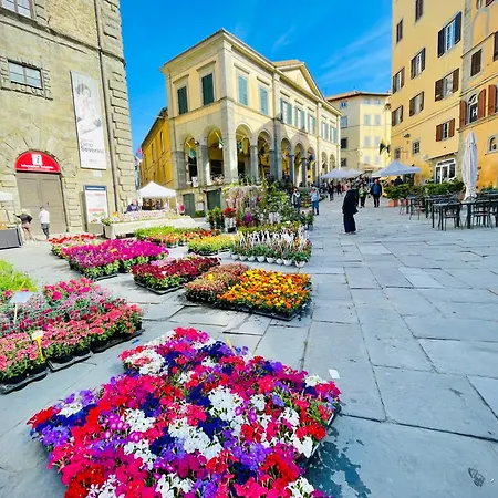 Balcone Fiorito, Nel Cuore Del Centro Storico Di Cortona Exterior photo