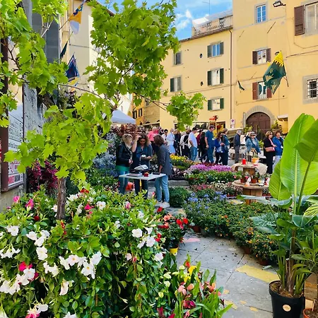 Balcone Fiorito, Nel Cuore Del Centro Storico Di Cortona Exterior photo