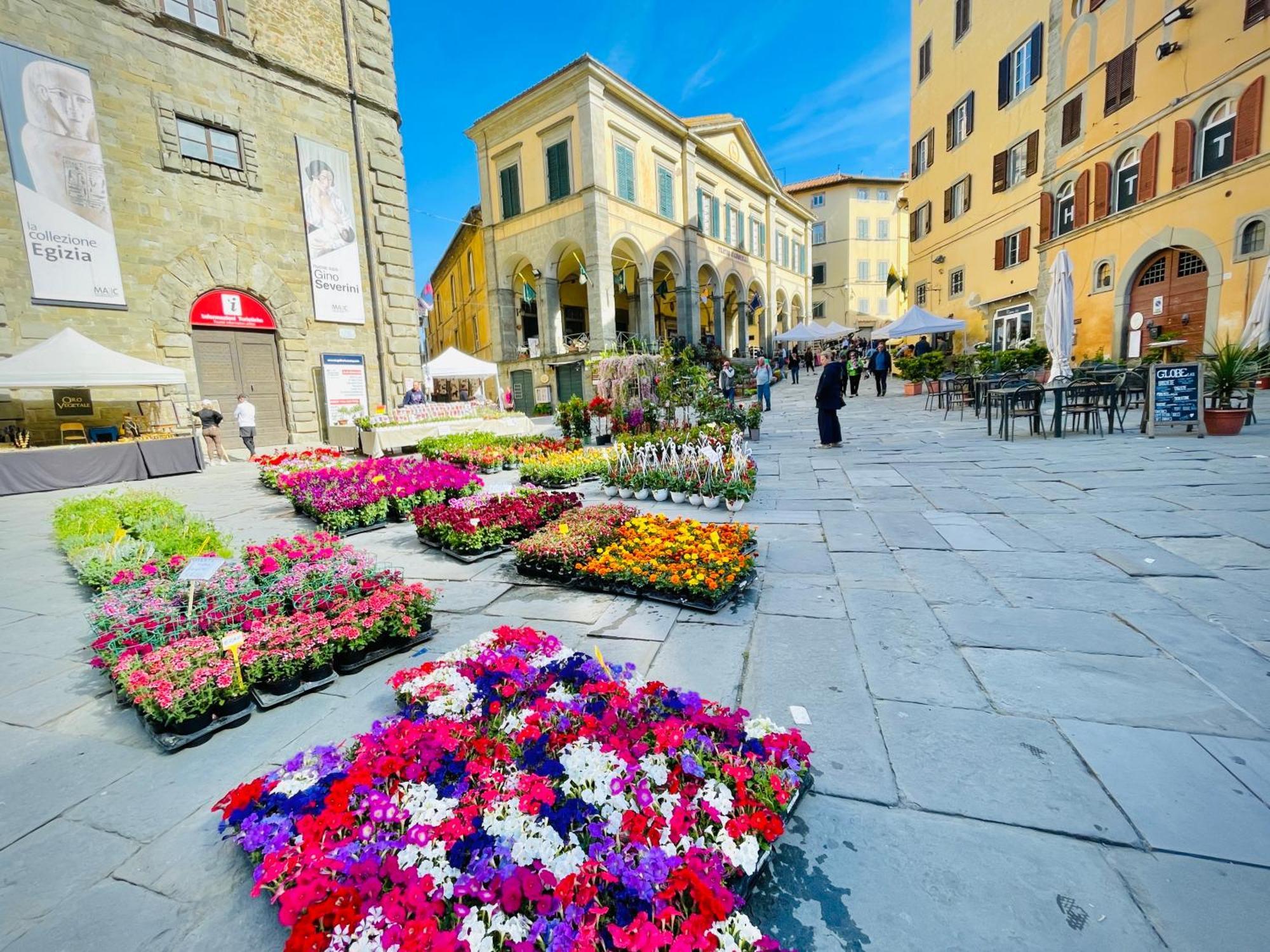 Balcone Fiorito, Nel Cuore Del Centro Storico Di Apartment Cortona