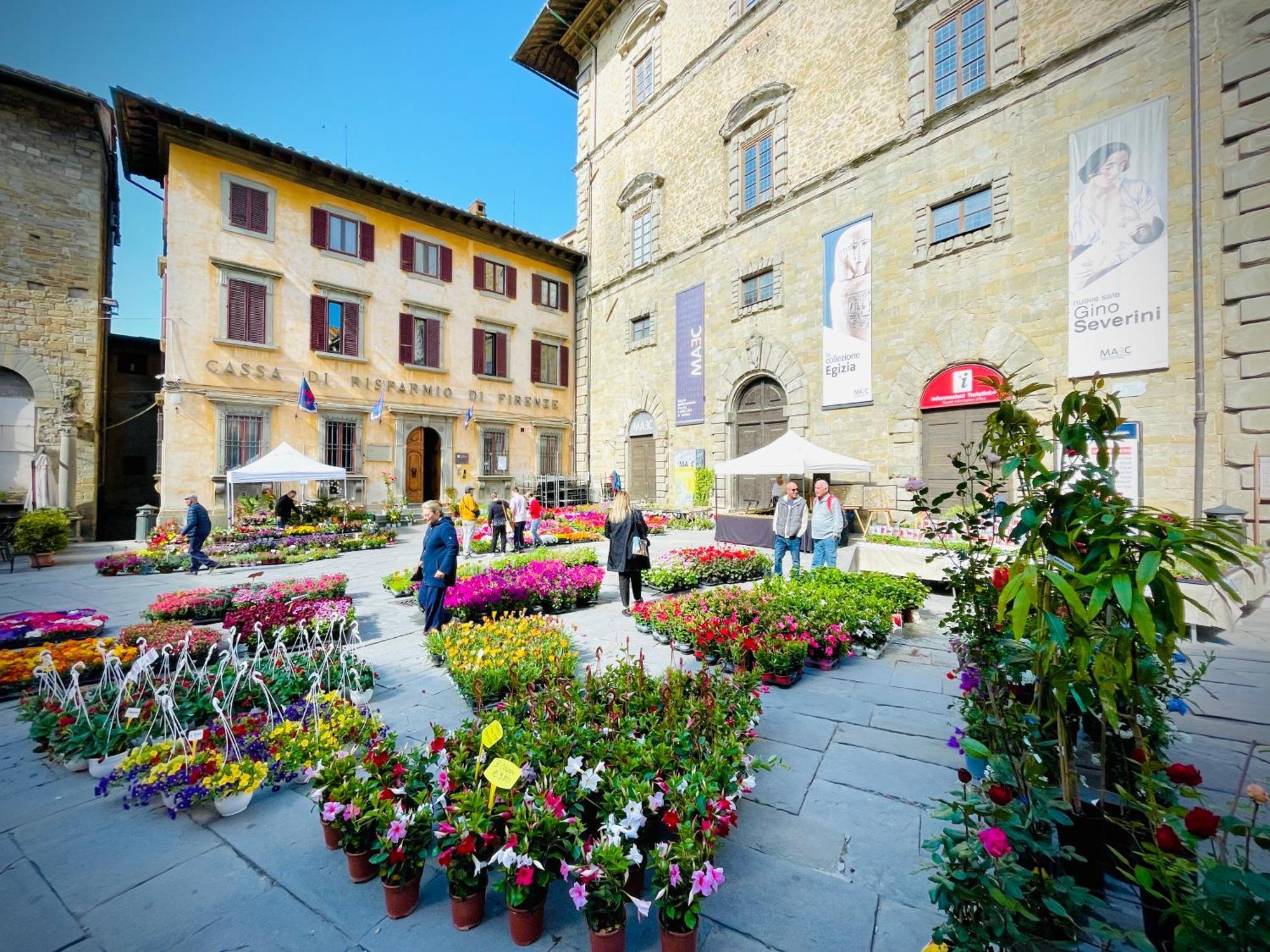 Balcone Fiorito, Nel Cuore Del Centro Storico Di *