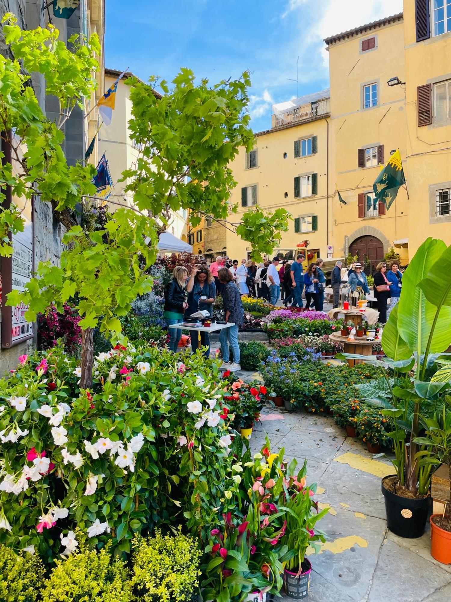 Balcone Fiorito, Nel Cuore Del Centro Storico Di * Cortona